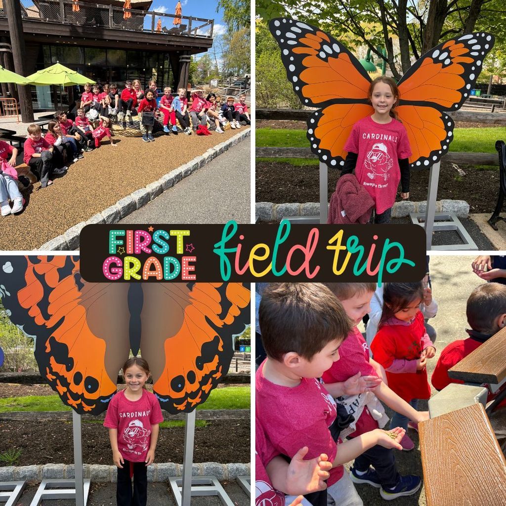 There’s something truly special about seeing learning come alive outside the classroom—curious eyes, big smiles, and those unforgettable “wow!” moments as students discovered new creatures and connected what they’ve learned in class to the real world.