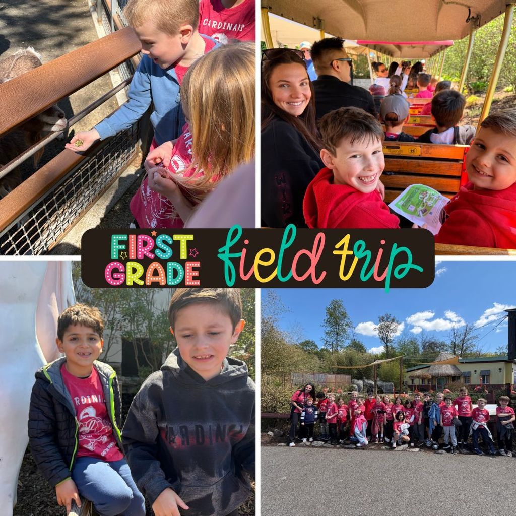 There’s something truly special about seeing learning come alive outside the classroom—curious eyes, big smiles, and those unforgettable “wow!” moments as students discovered new creatures and connected what they’ve learned in class to the real world.