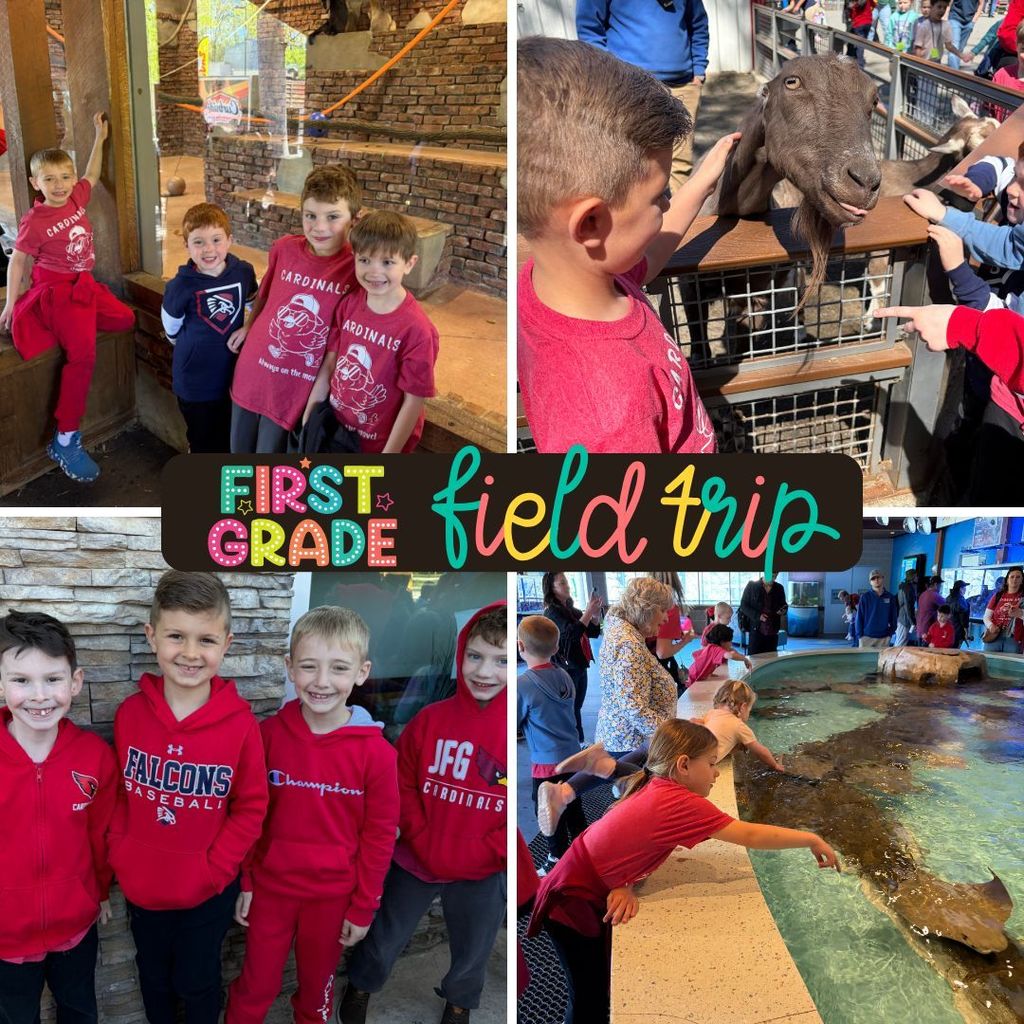 There’s something truly special about seeing learning come alive outside the classroom—curious eyes, big smiles, and those unforgettable “wow!” moments as students discovered new creatures and connected what they’ve learned in class to the real world.