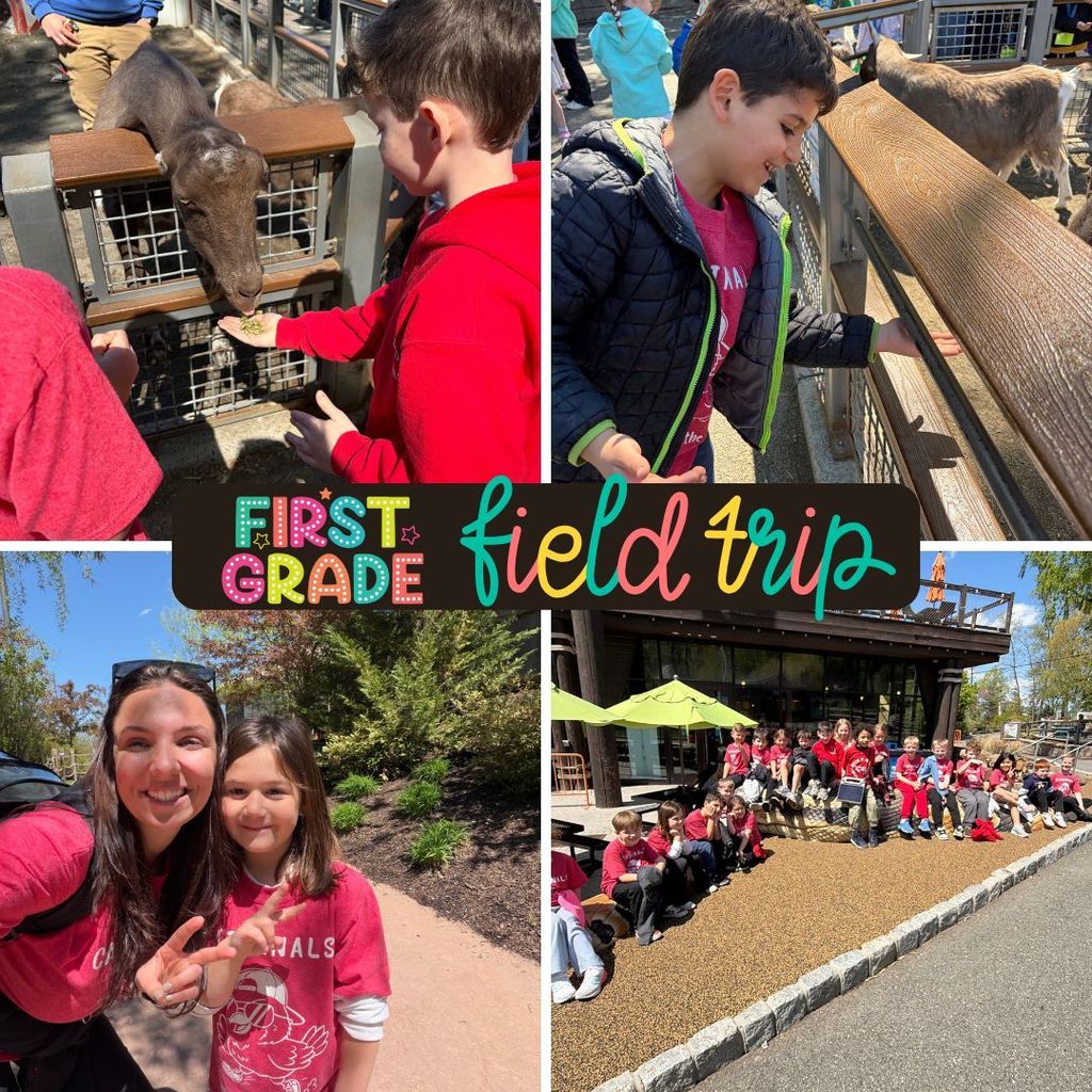 There’s something truly special about seeing learning come alive outside the classroom—curious eyes, big smiles, and those unforgettable “wow!” moments as students discovered new creatures and connected what they’ve learned in class to the real world.