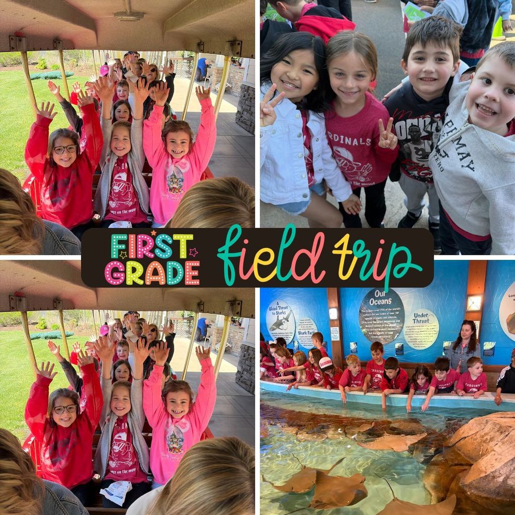 There’s something truly special about seeing learning come alive outside the classroom—curious eyes, big smiles, and those unforgettable “wow!” moments as students discovered new creatures and connected what they’ve learned in class to the real world.