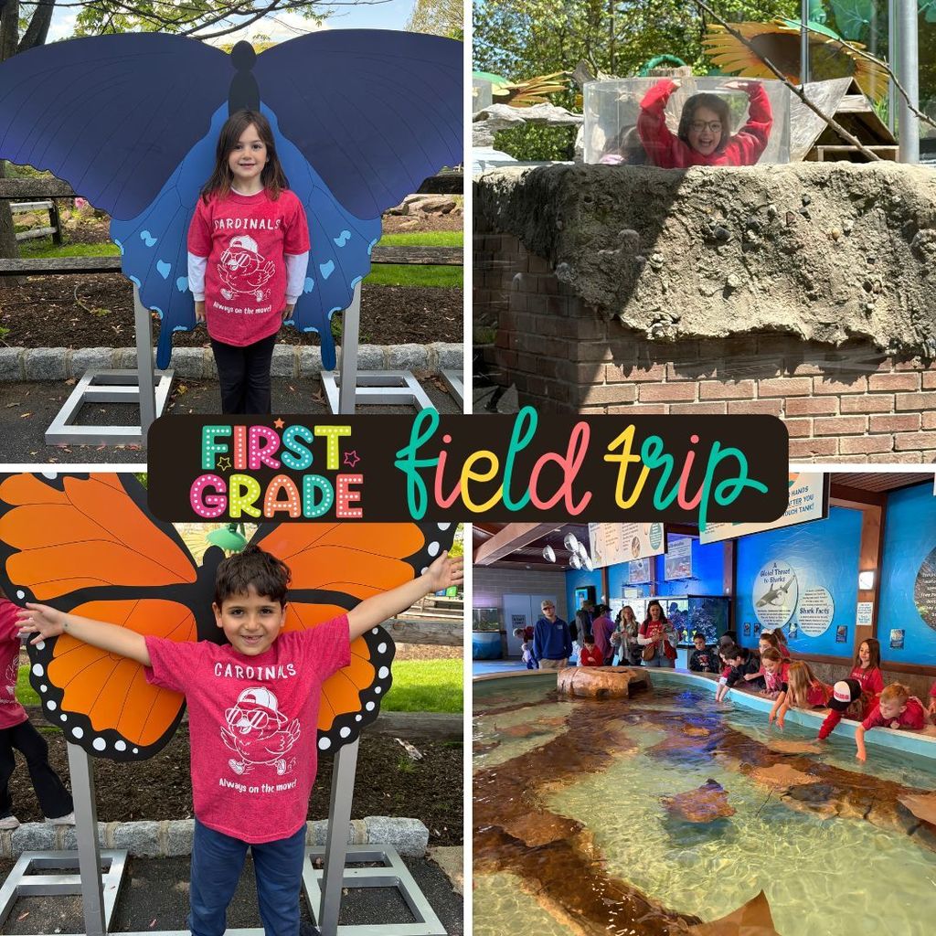 There’s something truly special about seeing learning come alive outside the classroom—curious eyes, big smiles, and those unforgettable “wow!” moments as students discovered new creatures and connected what they’ve learned in class to the real world.