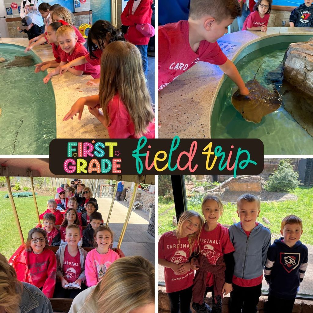 There’s something truly special about seeing learning come alive outside the classroom—curious eyes, big smiles, and those unforgettable “wow!” moments as students discovered new creatures and connected what they’ve learned in class to the real world.