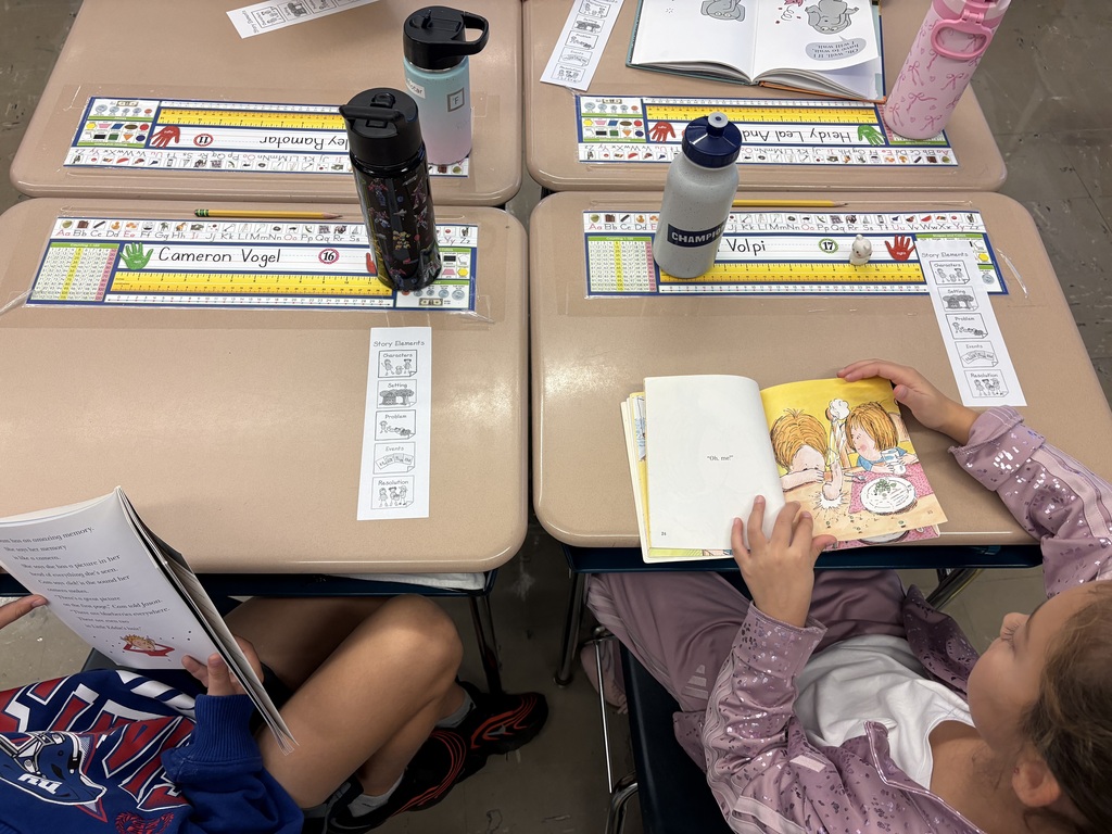 preview books reading