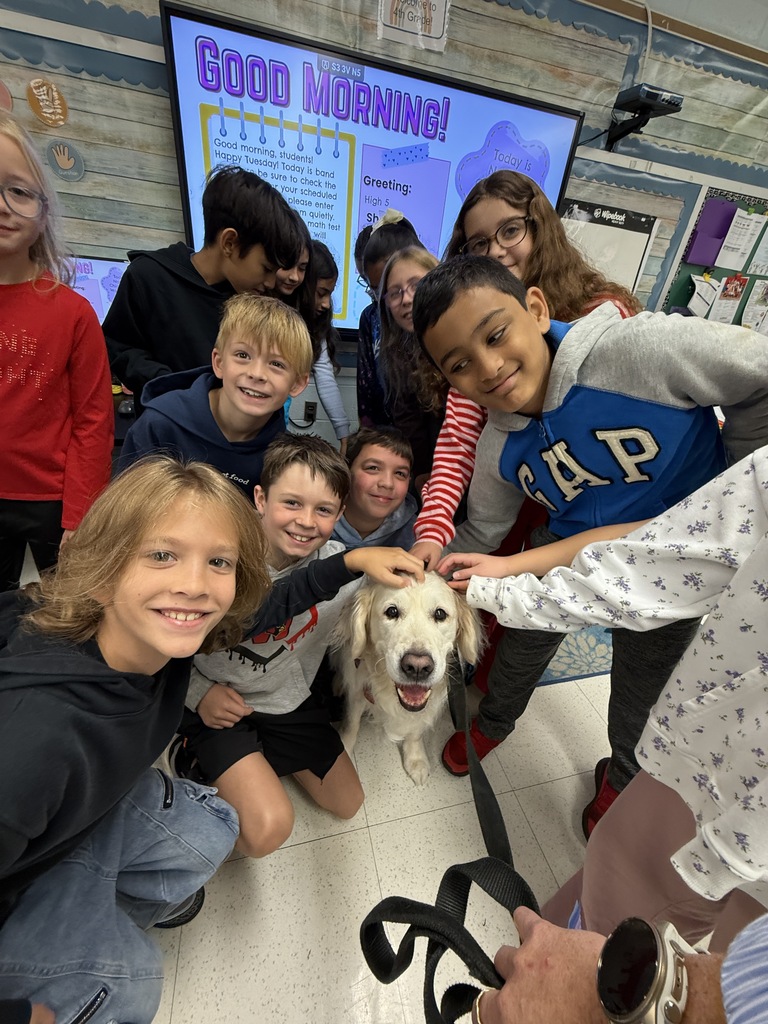 class and dogs
