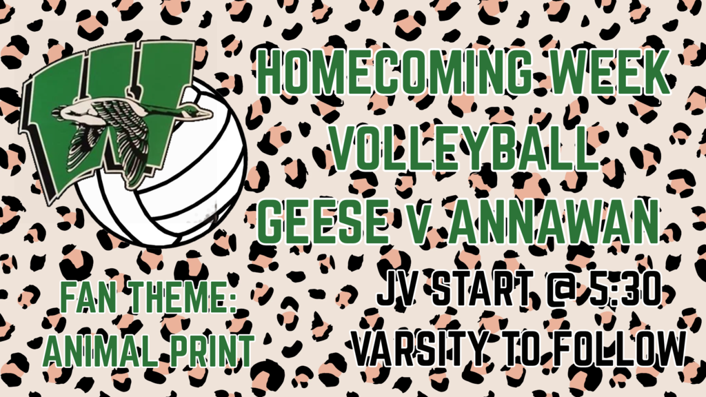 Animal Print Fan Section for Volleyball starting at 5:30 on Monday night