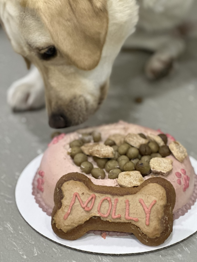 Mollys birthday cakes with a bone on it, pink and brown