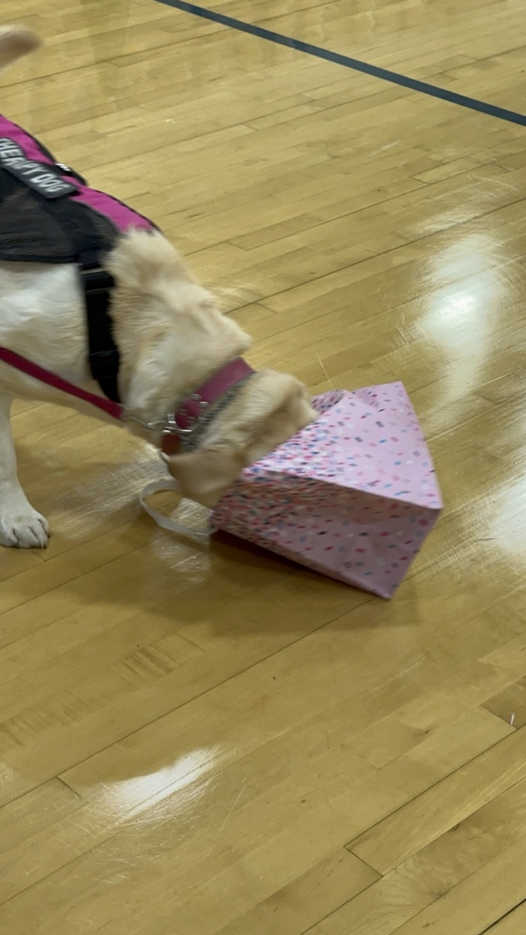 Molly opening a present 