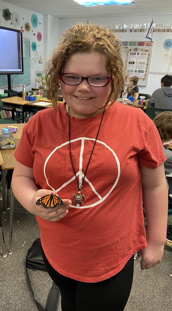 butterfly