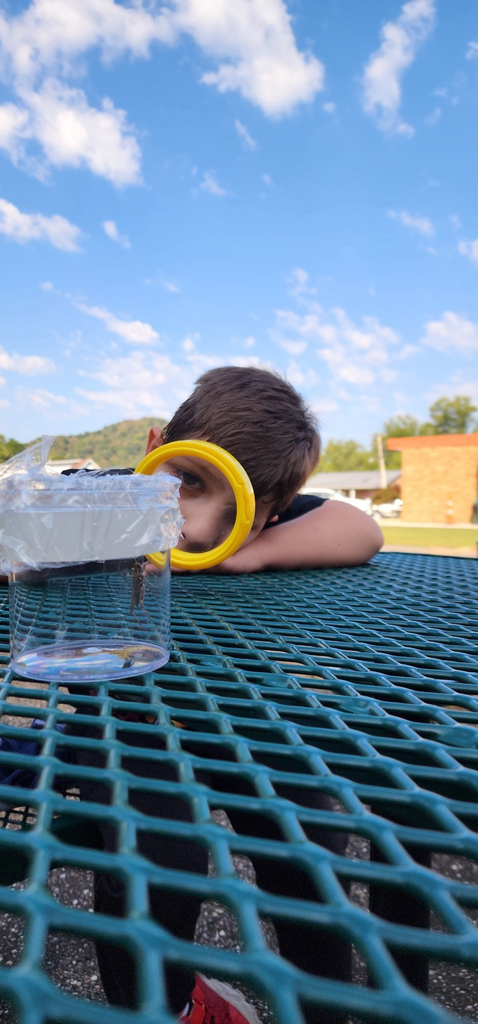 living and nonliving