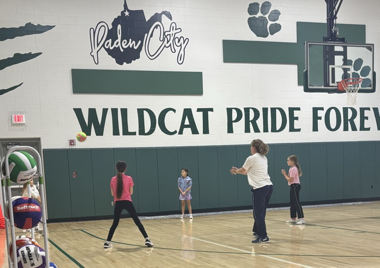 volleyball