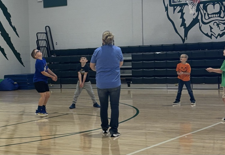 volleyball
