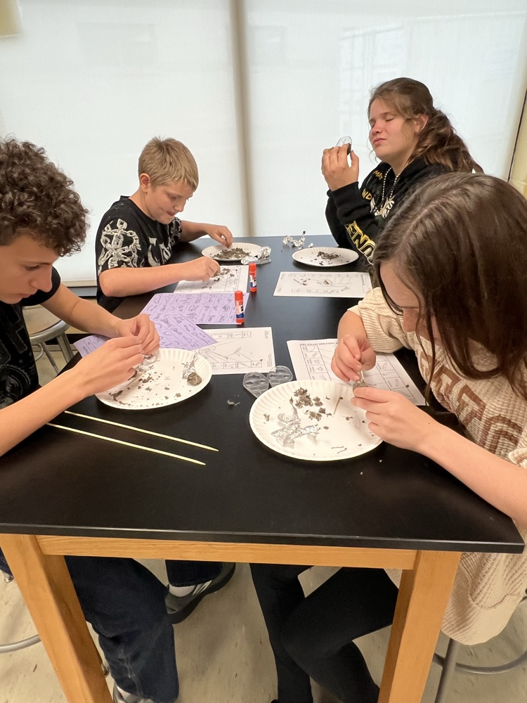 dissecting owl pellets 