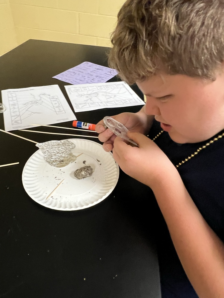dissecting owl pellets 