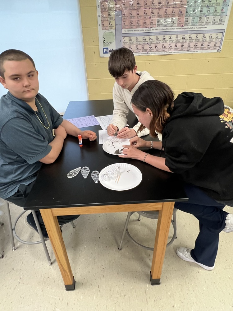 dissecting owl pellets 