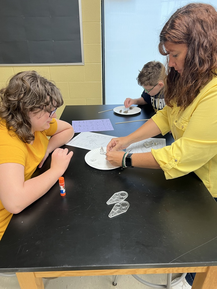 dissecting owl pellets 