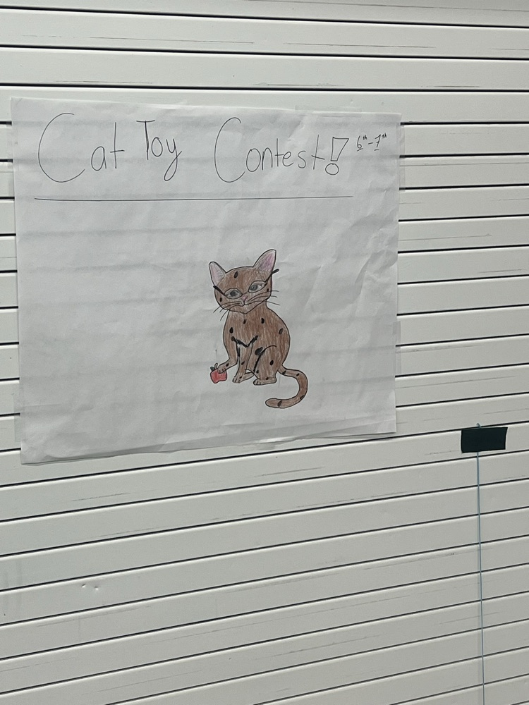 hhs