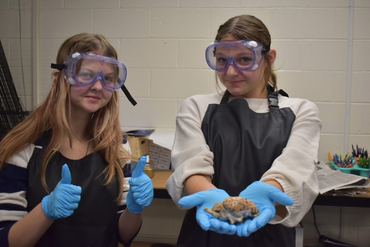 two girls one with a thumbs up and the other holding her brains 