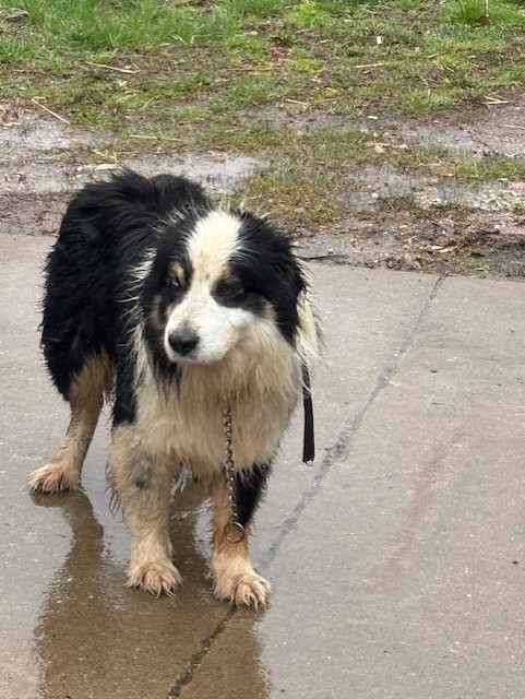 88076ea1-2cd2-48a0-b073-53bccfb1c090