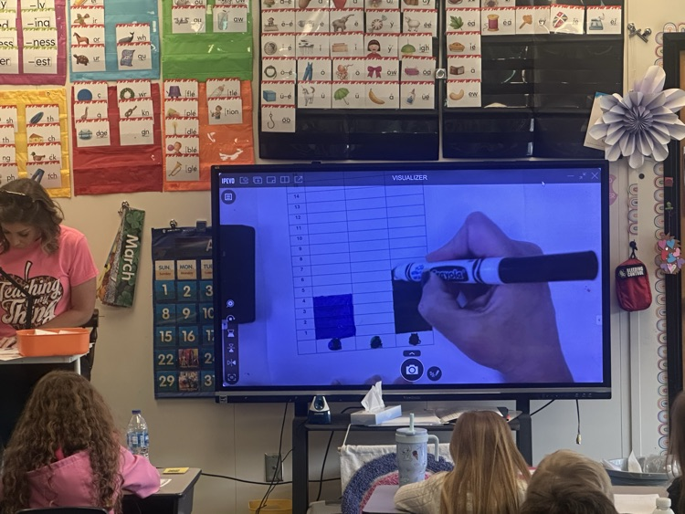 graphing results on viewsonic 