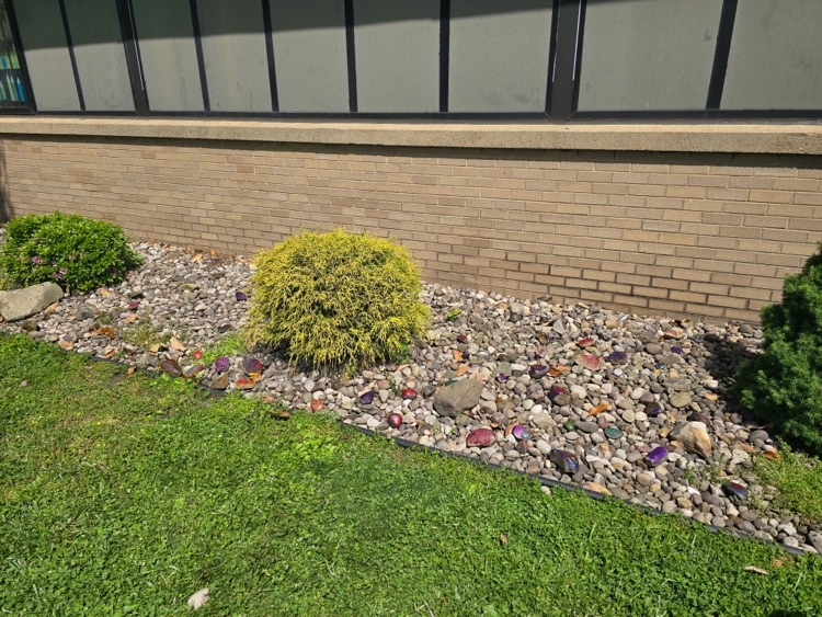 painted rocks in the flower bed/ 