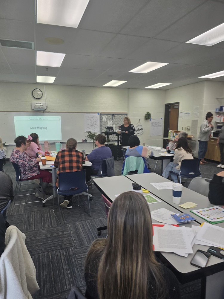 Attendees listening to a paraprofessional share their knowledge