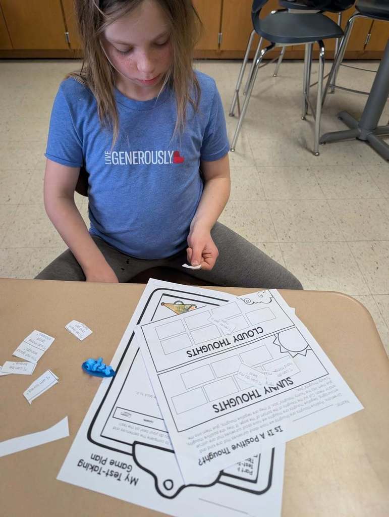 Student thinking as they complete the "Sunny and Cloud Thoughts" activity 