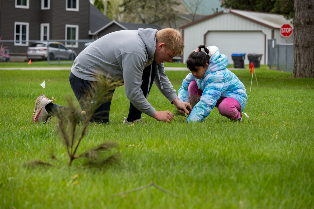A younger student getting help from an older student to place a tree 
