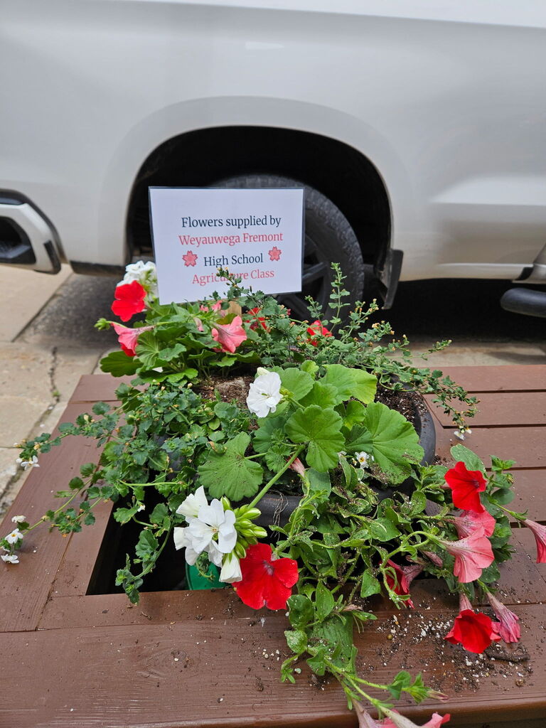 A view of the flowers our student planted