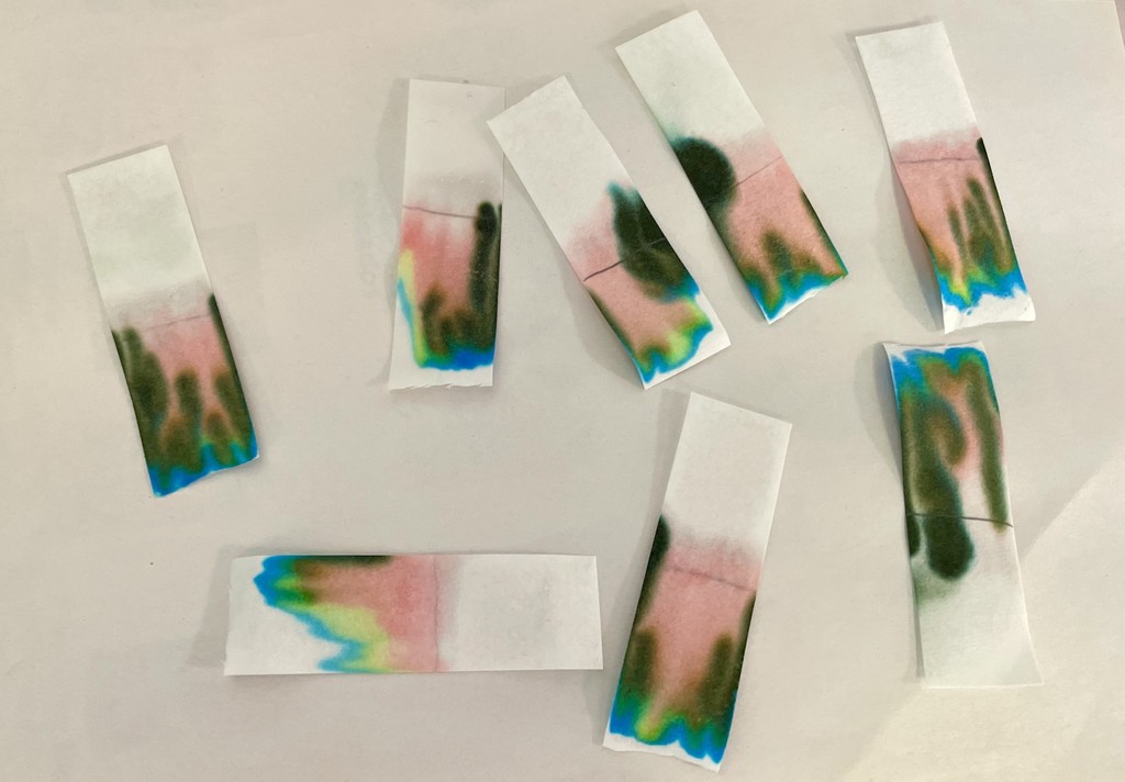 Painted Paper
