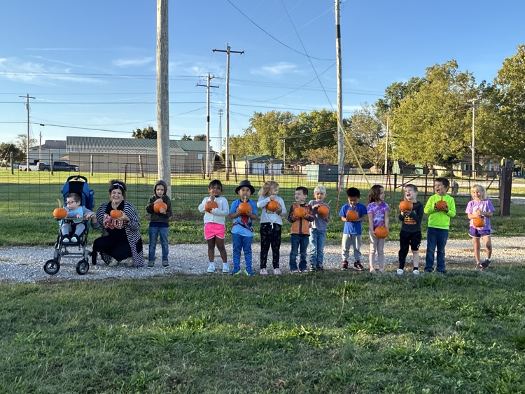 Mattingly pumpkin patch 