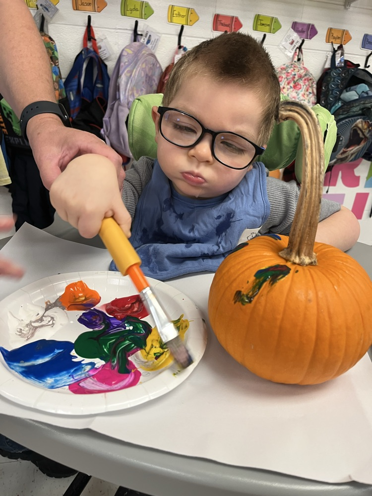 Mattingly pumpkin patch 