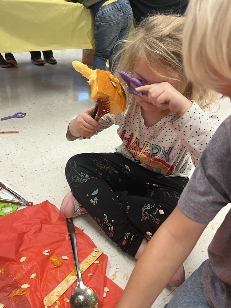 Mattingly pumpkin patch 