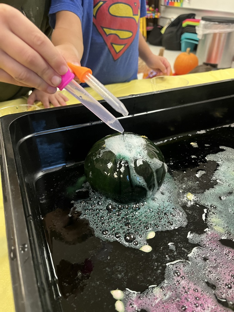 Mattingly pumpkin patch 