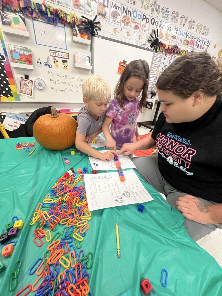 Mattingly pumpkin patch 