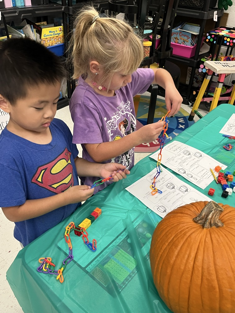 Mattingly pumpkin patch 