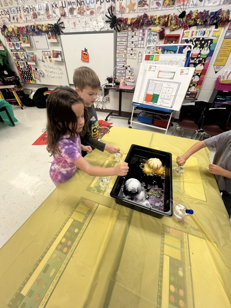 Mattingly pumpkin patch 