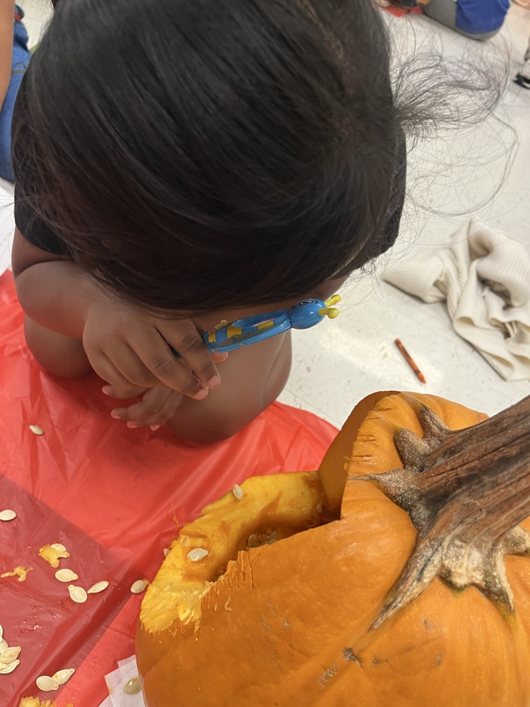 Mattingly pumpkin patch 