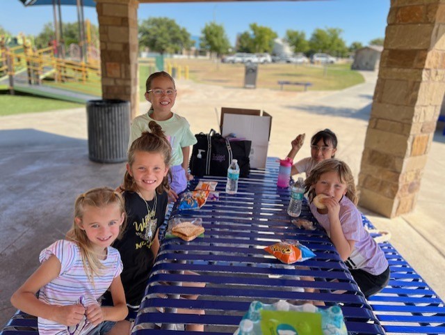 picnic
