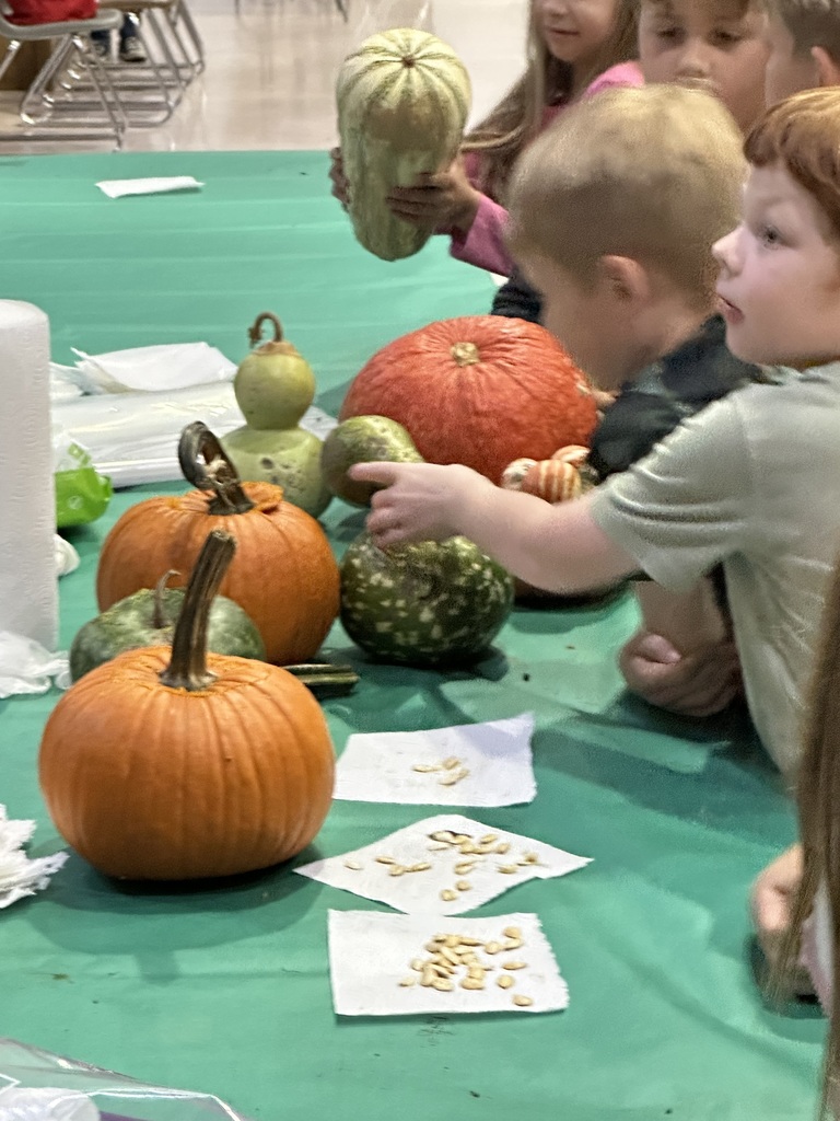 🎃 It’s the Great Pumpkin, Charlie Brown! 🍂✨  Our Bear Necessities students had an incredible theme day inspired by The Great Pumpkin, Charlie Brown! Students participated in hands-on learning across all content areas — literacy, science, math, and art! 📚🔬➕🎨  They carved pumpkins, created festive art, explored pumpkin math challenges, dissected pumpkins to study their parts, and even planted their own pumpkin seeds to grow pumpkins of their own! 🌱🎃  A special thank you to Peebles’ Farm Pumpkin Patch & Corn Maze in Augusta, Arkansas for their generous pumpkin donation that made this engaging learning day possible! 💛  #BearNecessities #WCCBears #TheGreatPumpkinCharlieBrown #HandsOnLearning #STEMinAction #ThankYouPeeblesFarm #FallFun #EngagedLearners