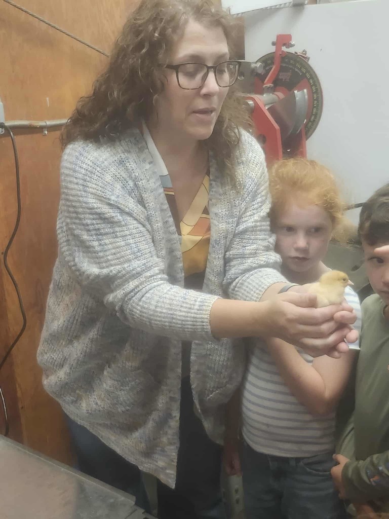 🐥🐾 Collaboration in Action at WCC! 🐾🐥  We love seeing two of our very own programs—WCC FFA and the WCC Bear Necessities After School Program—come together to create exciting, hands-on learning experiences for our students!  This week, our amazing FFA members partnered with the After School Program to give 1st-grade students the opportunity to explore the life cycle of baby chicks 🐣. From observing to asking questions, our young learners were fully engaged in real-world science in action!  👏 A huge thank you to our FFA students and sponsors for sharing their time and knowledge. When WCC programs work together, students grow, explore, and thrive! 🌱📚  #WCCBears #BearNecessities #WCCFFA #GrowingFutureLeaders #HandsOnLearning #ChickLifeCycle #StrongerTogether 🐻💛🐣