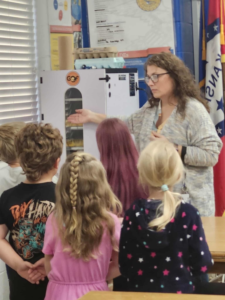 🐥🐾 Collaboration in Action at WCC! 🐾🐥  We love seeing two of our very own programs—WCC FFA and the WCC Bear Necessities After School Program—come together to create exciting, hands-on learning experiences for our students!  This week, our amazing FFA members partnered with the After School Program to give 1st-grade students the opportunity to explore the life cycle of baby chicks 🐣. From observing to asking questions, our young learners were fully engaged in real-world science in action!  👏 A huge thank you to our FFA students and sponsors for sharing their time and knowledge. When WCC programs work together, students grow, explore, and thrive! 🌱📚  #WCCBears #BearNecessities #WCCFFA #GrowingFutureLeaders #HandsOnLearning #ChickLifeCycle #StrongerTogether 🐻💛🐣