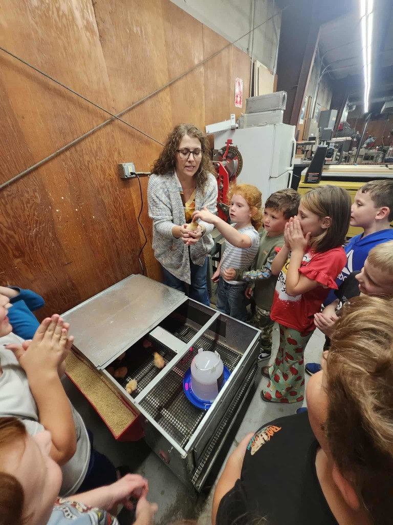 🐥🐾 Collaboration in Action at WCC! 🐾🐥  We love seeing two of our very own programs—WCC FFA and the WCC Bear Necessities After School Program—come together to create exciting, hands-on learning experiences for our students!  This week, our amazing FFA members partnered with the After School Program to give 1st-grade students the opportunity to explore the life cycle of baby chicks 🐣. From observing to asking questions, our young learners were fully engaged in real-world science in action!  👏 A huge thank you to our FFA students and sponsors for sharing their time and knowledge. When WCC programs work together, students grow, explore, and thrive! 🌱📚  #WCCBears #BearNecessities #WCCFFA #GrowingFutureLeaders #HandsOnLearning #ChickLifeCycle #StrongerTogether 🐻💛🐣