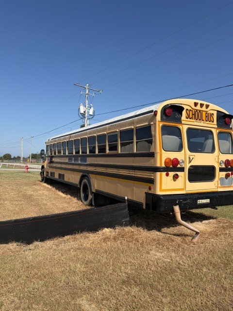bus