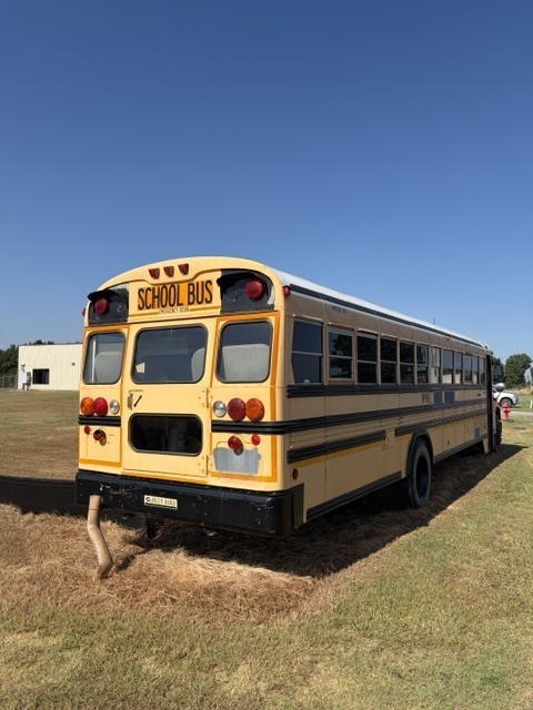 bus