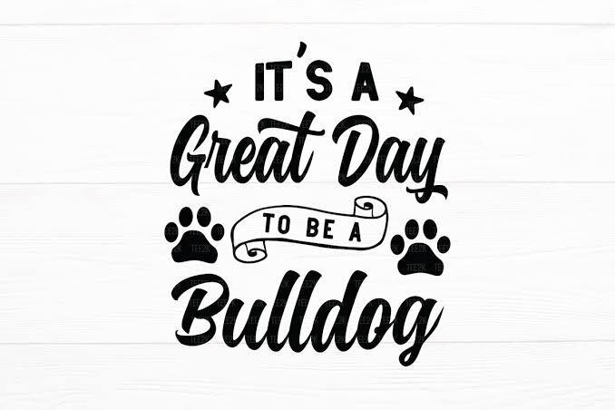 its a great day to be a bulldog
