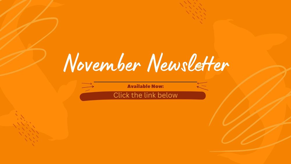 November Newsletter available now by clicking the link below