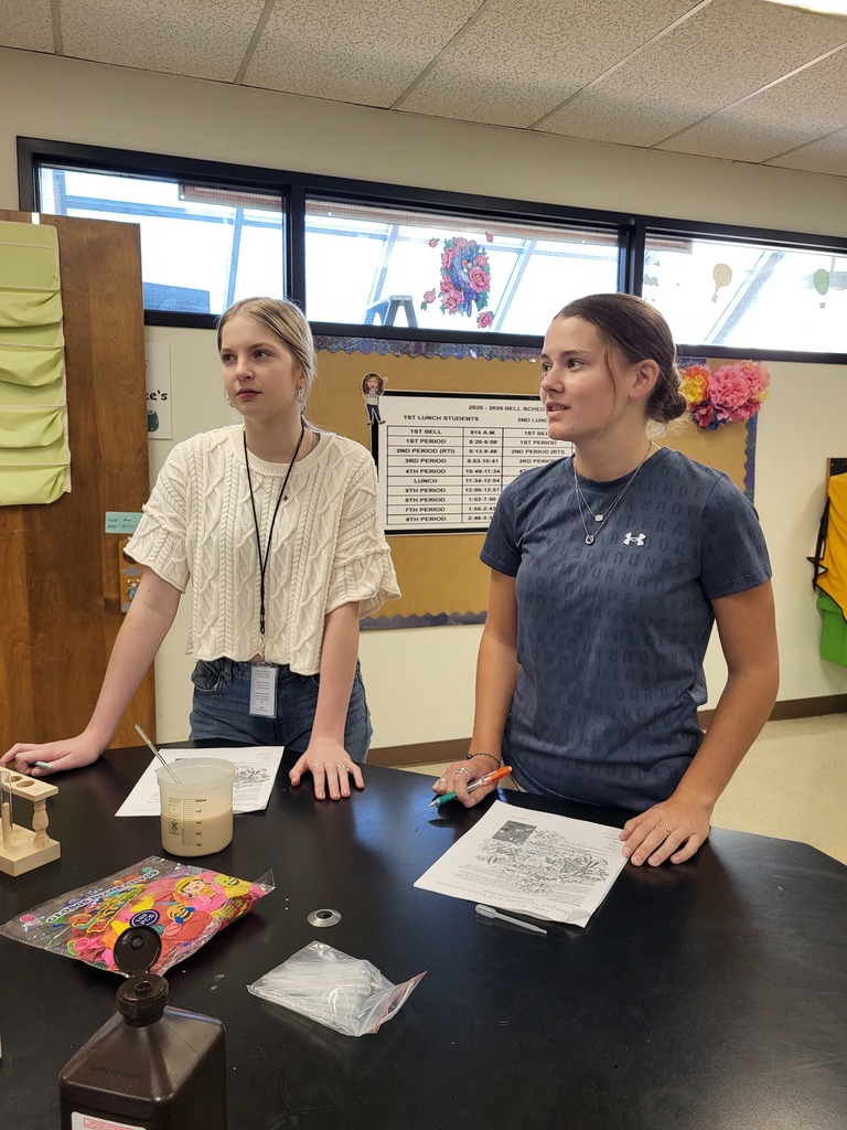 AP Biology students conduct ensyme lab.