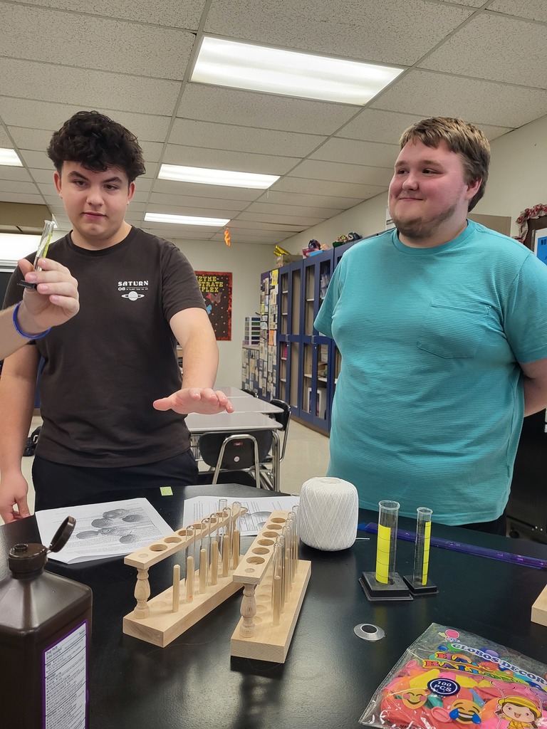 AP Biology students conduct ensyme lab.