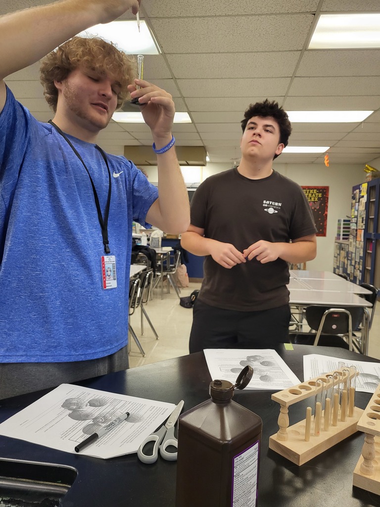 AP Biology students conduct ensyme lab.